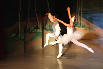6763 Swan Lake