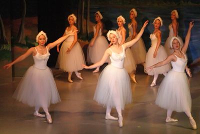 6764 Swan Lake