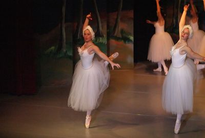 6765 Swan Lake
