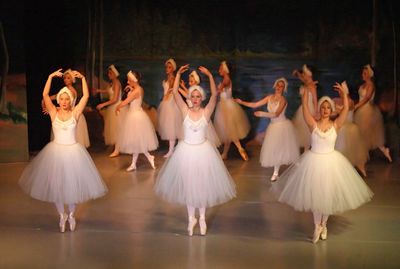 6766 Swan Lake
