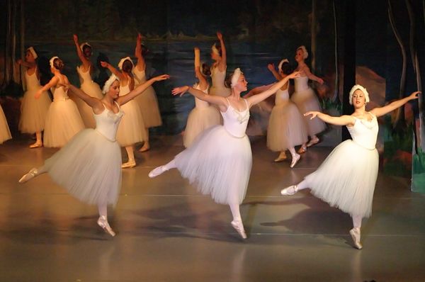 6767 Swan Lake
