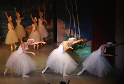 6768 Swan Lake