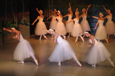 6769 Swan Lake