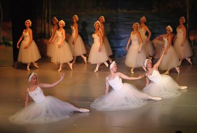 6771 Swan Lake