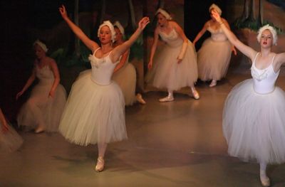 6772 Swan Lake
