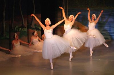 6774 Swan Lake