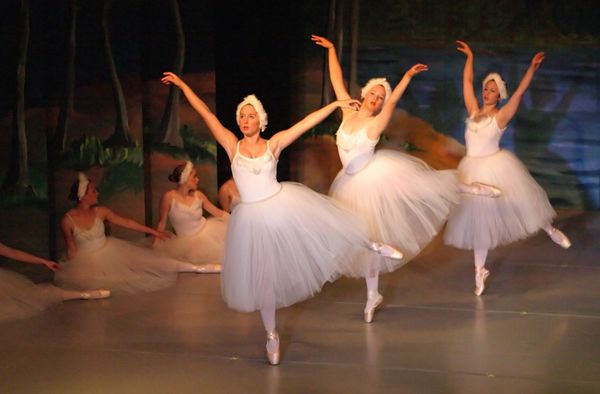 6774 Swan Lake