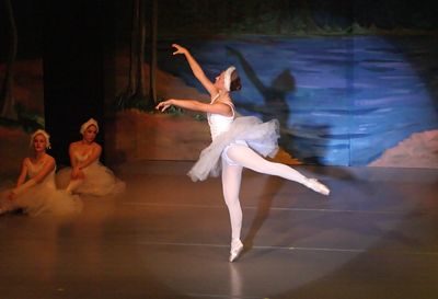 6776 Swan Lake