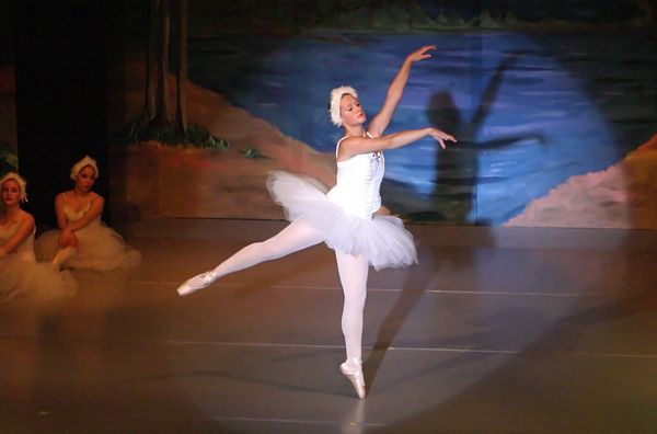 6777 Swan Lake
