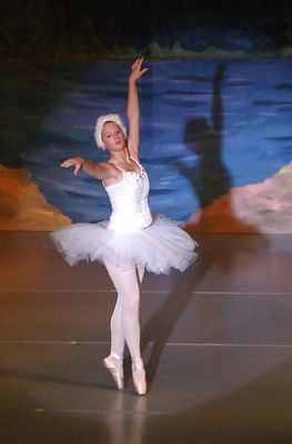 6779 Swan Lake