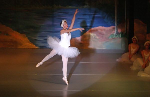 6780 Swan Lake