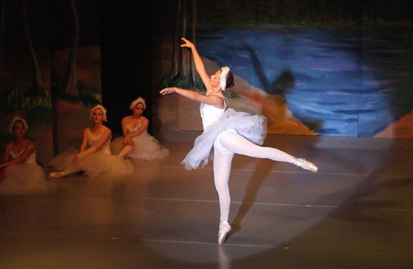 6781 Swan Lake