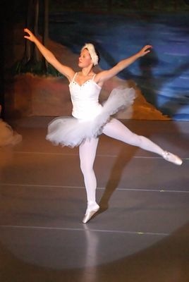 6782 Swan Lake