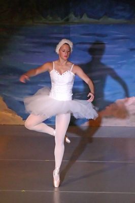 6785 Swan Lake