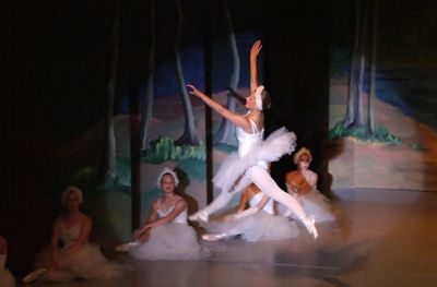 6791 Swan Lake