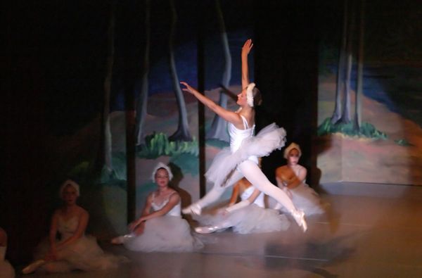 6791 Swan Lake