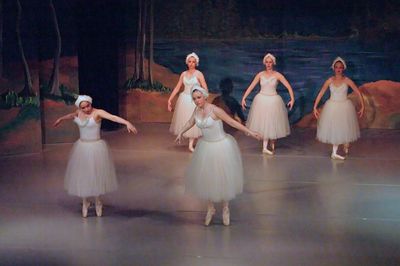 6795 Swan Lake