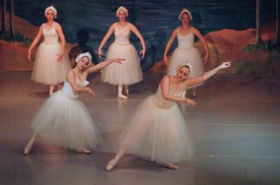6796 Swan Lake