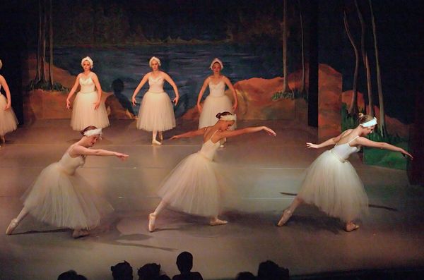 6797 Swan Lake
