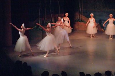 6798 Swan Lake