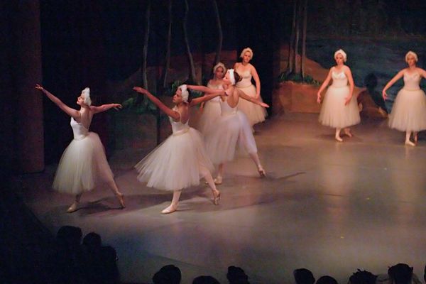 6798 Swan Lake
