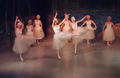 6799 Swan Lake