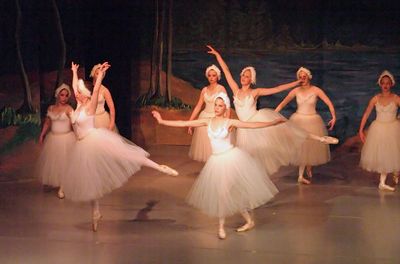 6800 Swan Lake