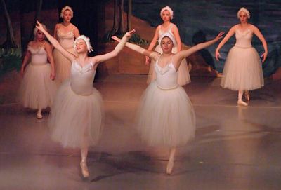 6801 Swan Lake