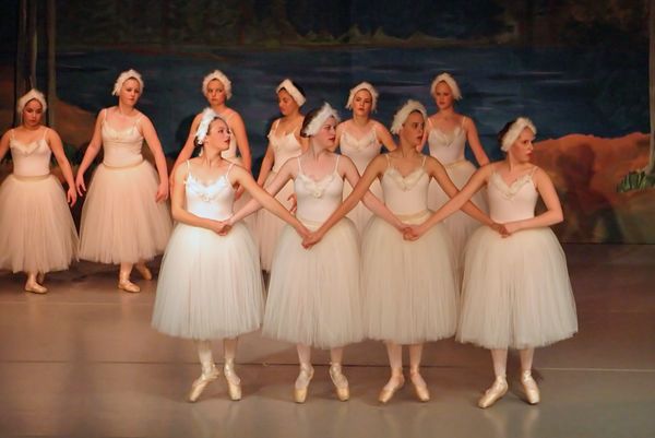 6804 Swan Lake