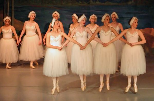 6805 Swan Lake