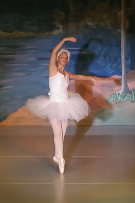 6808 Swan Lake
