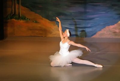 6809 Swan Lake