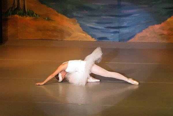 6810 Swan Lake