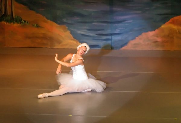 6813 Swan Lake
