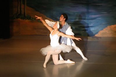 6815 Swan Lake