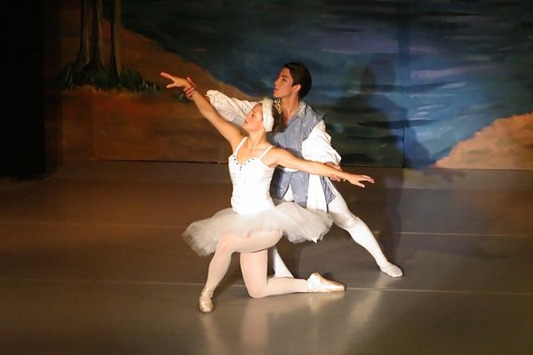 6815 Swan Lake