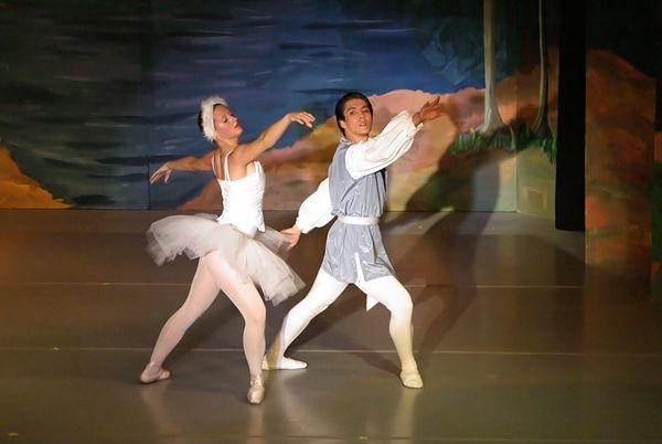 6819 Swan Lake