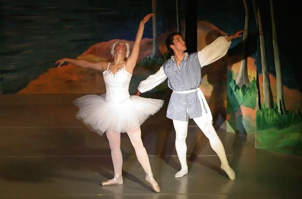 6820 Swan Lake