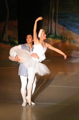 6822 Swan Lake