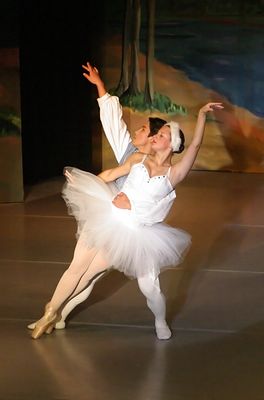 6823_Swan_Lake.jpg