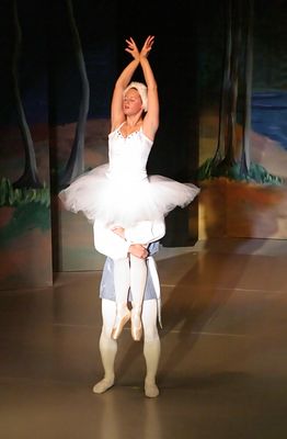 6826 Swan Lake