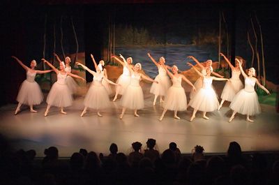 6829 Swan Lake
