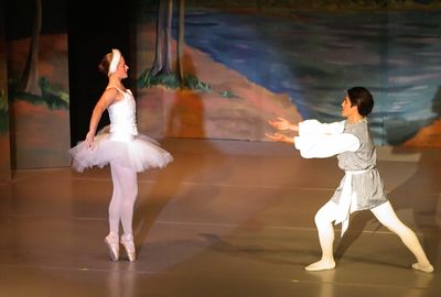 6831 Swan Lake