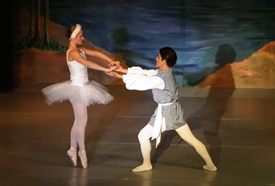 6832 Swan Lake