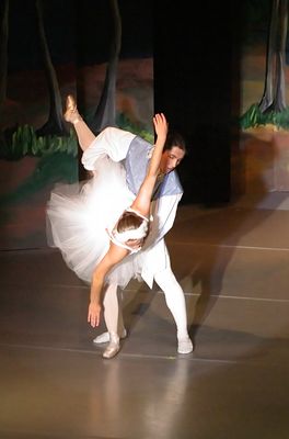 6835 Swan Lake
