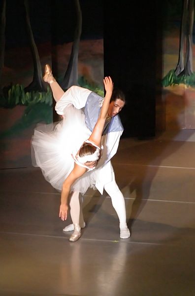 6835 Swan Lake