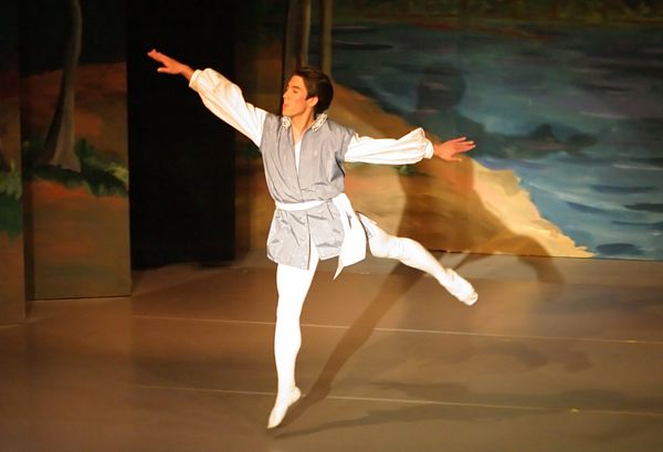 6840 Swan Lake