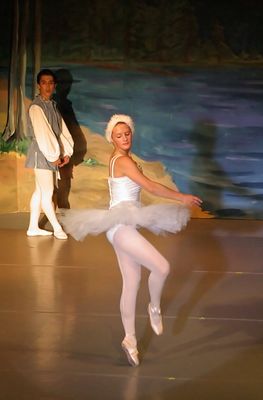 6843 Swan Lake