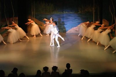 6845 Swan Lake
