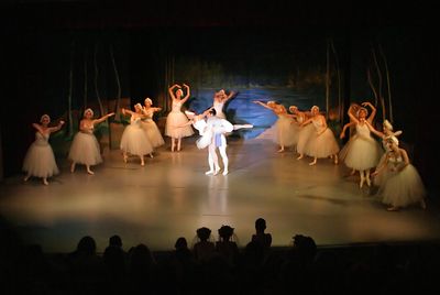 6847 Swan Lake